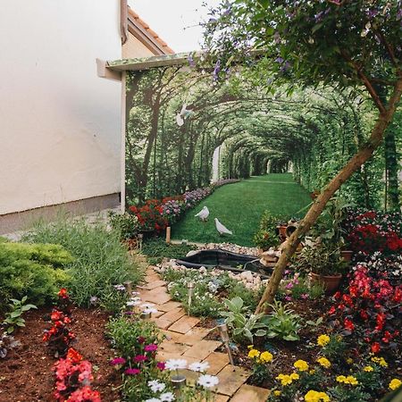 Apartmani Marina Porec Bagian luar foto
